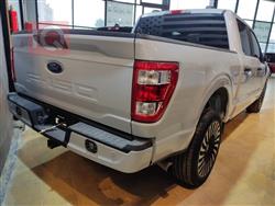فۆرد F-150